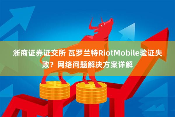 浙商证券证交所 瓦罗兰特RiotMobile验证失败？网络问题解决方案详解