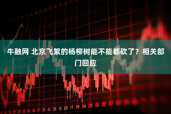 牛融网 北京飞絮的杨柳树能不能都砍了？相关部门回应